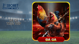 Đá gà trực tiếp